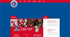 Desktop Screenshot of chicagobruisebrothers.com